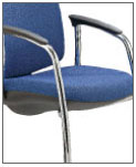 Idonia . Estructura