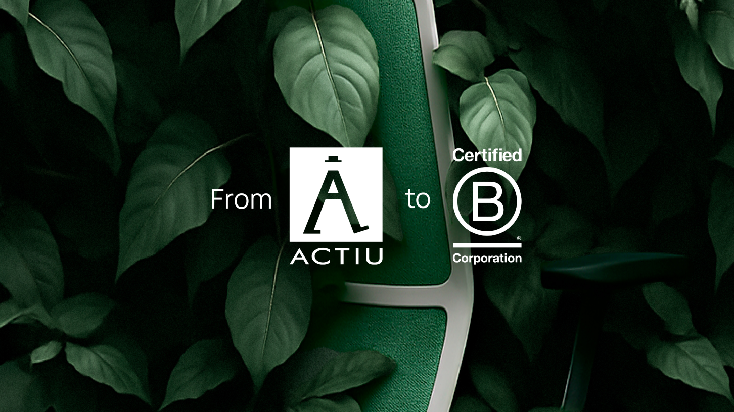 From vision to B Corp
